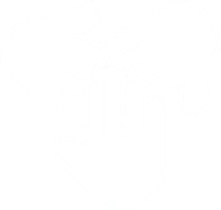 Vision Icon